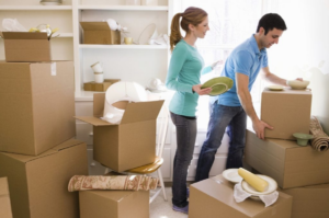 How Does a Professional Removalist Help You Relocate