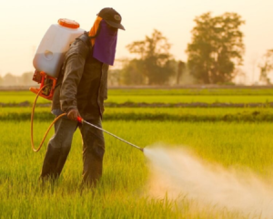 Top Insecticides This Year