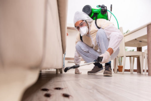 Unmatched Service Offered by Professional Pest Control