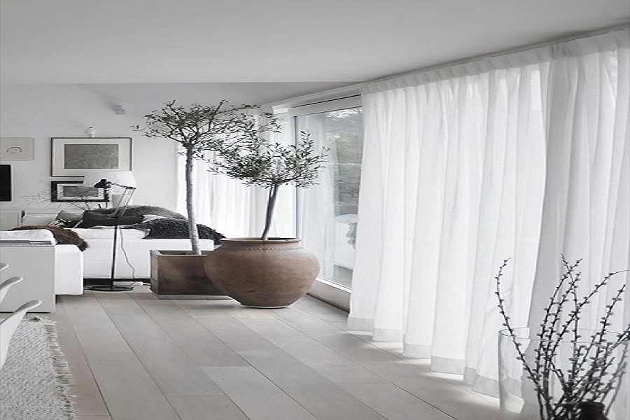 How sheers curtains are perfect?