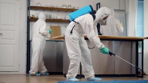 Planning To Get Pest Control In Your House? 