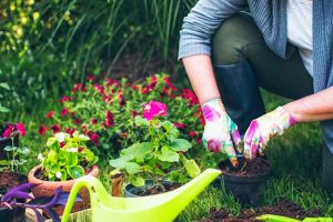 How Home Gardening Can Improve Your Mental Health