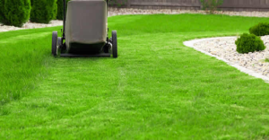 Magnolia Landscaping Your Denver Lawn Care Service