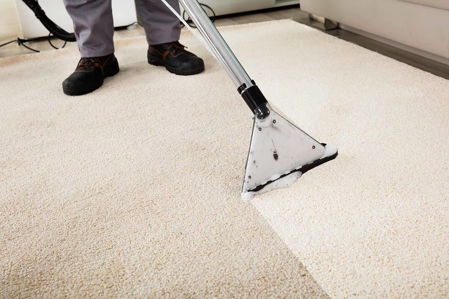 Benefits of Using Professional Carpet Cleaning Services for Your Business