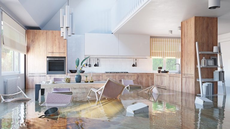 The Complete Guide to Water Damage Restoration in Northern Virginia & Maryland