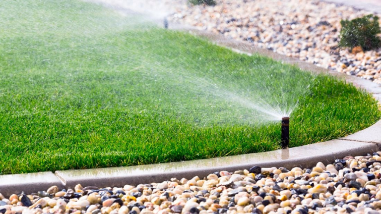 How to Prepare Your Lawn for Winter with Help from Burke Lawn Care