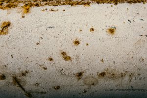 7 Warning Signs You Need Roof Waterproofing Immediately