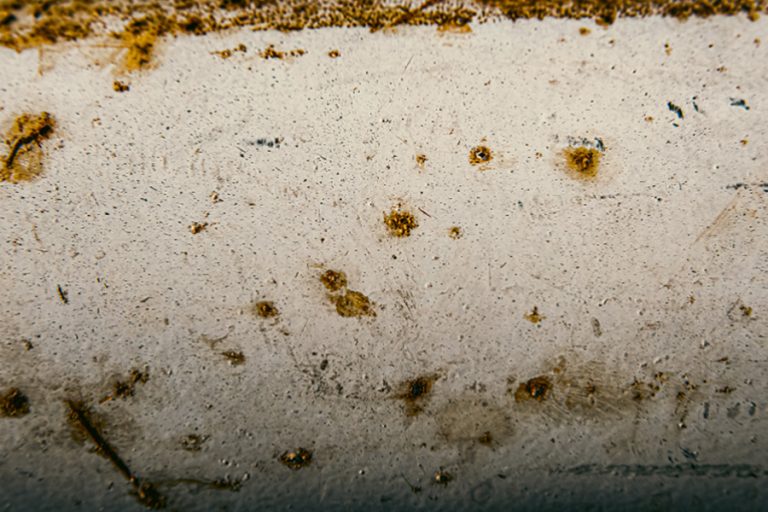 7 Warning Signs You Need Roof Waterproofing Immediately